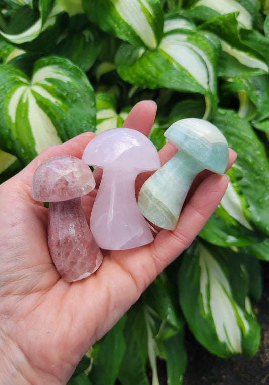 Mushroom SET Carved and Polished in Pakistan - Red Calcite, Green Calcite, Pink Calcite (Pink: 1 5/8 X H 2 1/4 inches, red: 1 1/4 X H 2 1/4 inches, green: 1 1/4 X H 2 inches)
