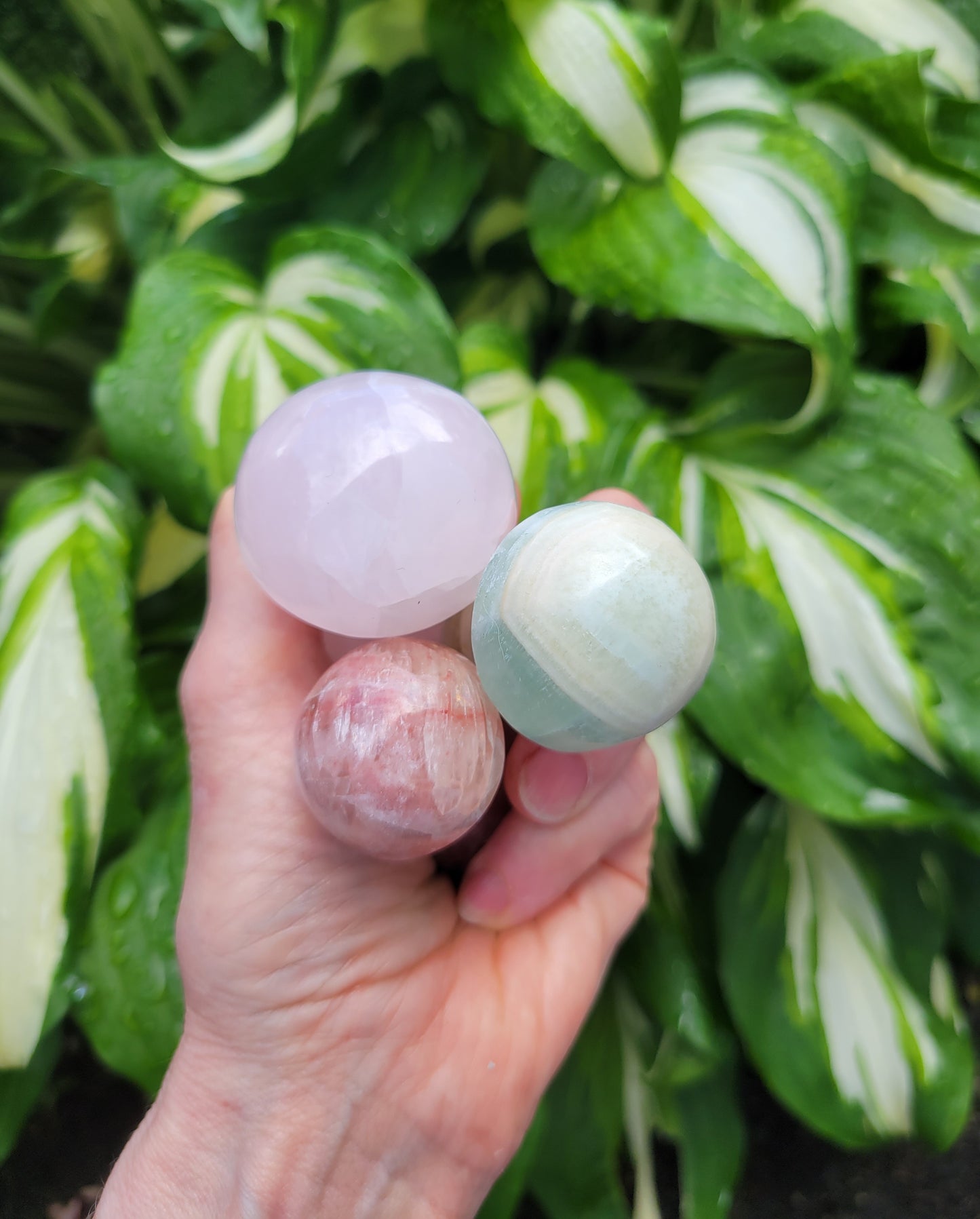 Mushroom SET Carved and Polished in Pakistan - Red Calcite, Green Calcite, Pink Calcite (Pink: 1 5/8 X H 2 1/4 inches, red: 1 1/4 X H 2 1/4 inches, green: 1 1/4 X H 2 inches)