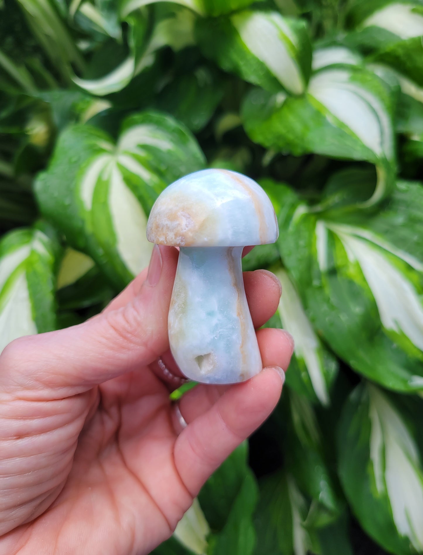 Mushroom SET from Pakistan - Blue Aragonite, Pink Calcite, White Calcite