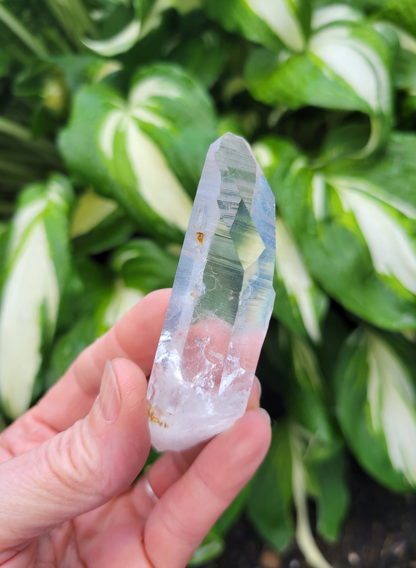 Lemurian Quartz from Colombia