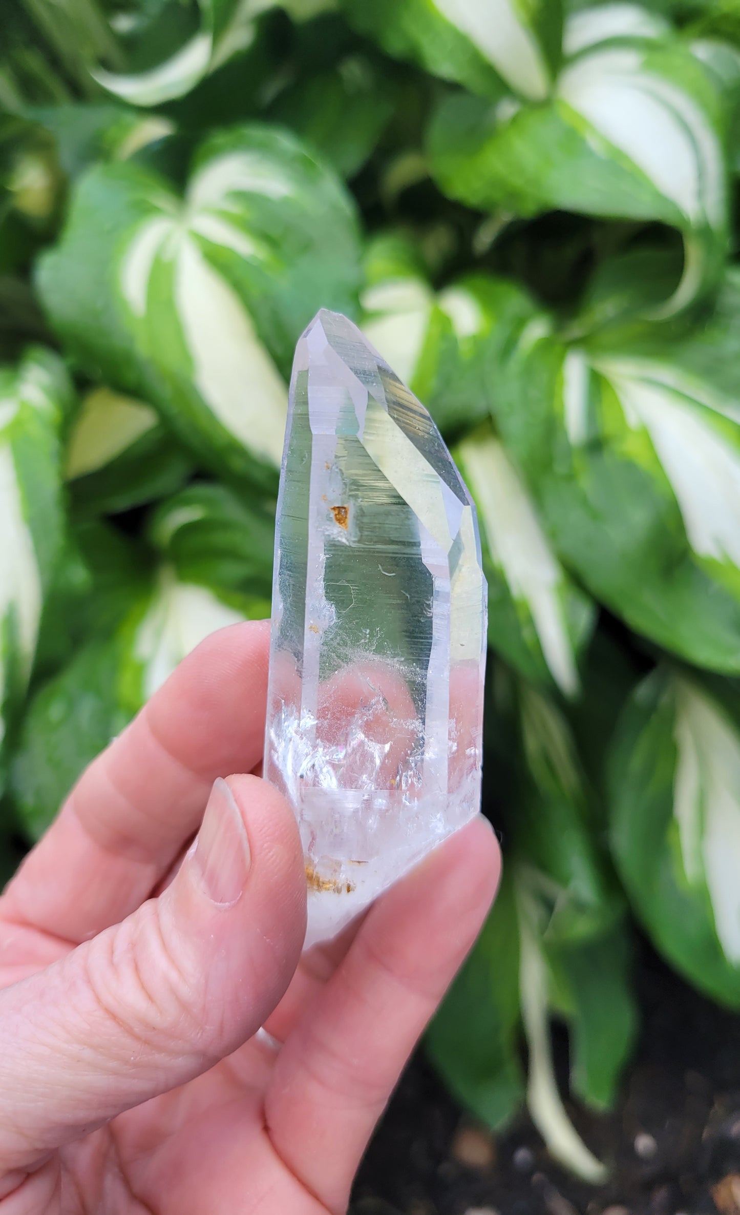 Lemurian Quartz from Colombia