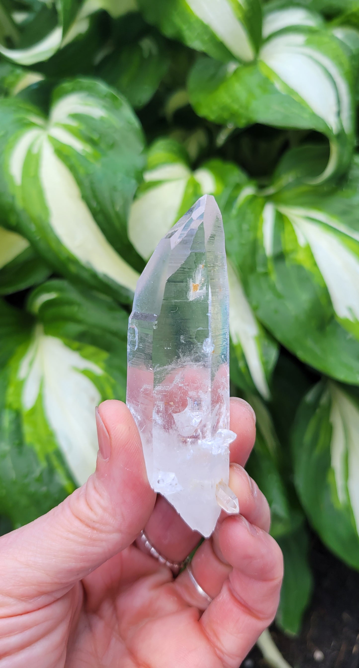 Lemurian Quartz from Colombia