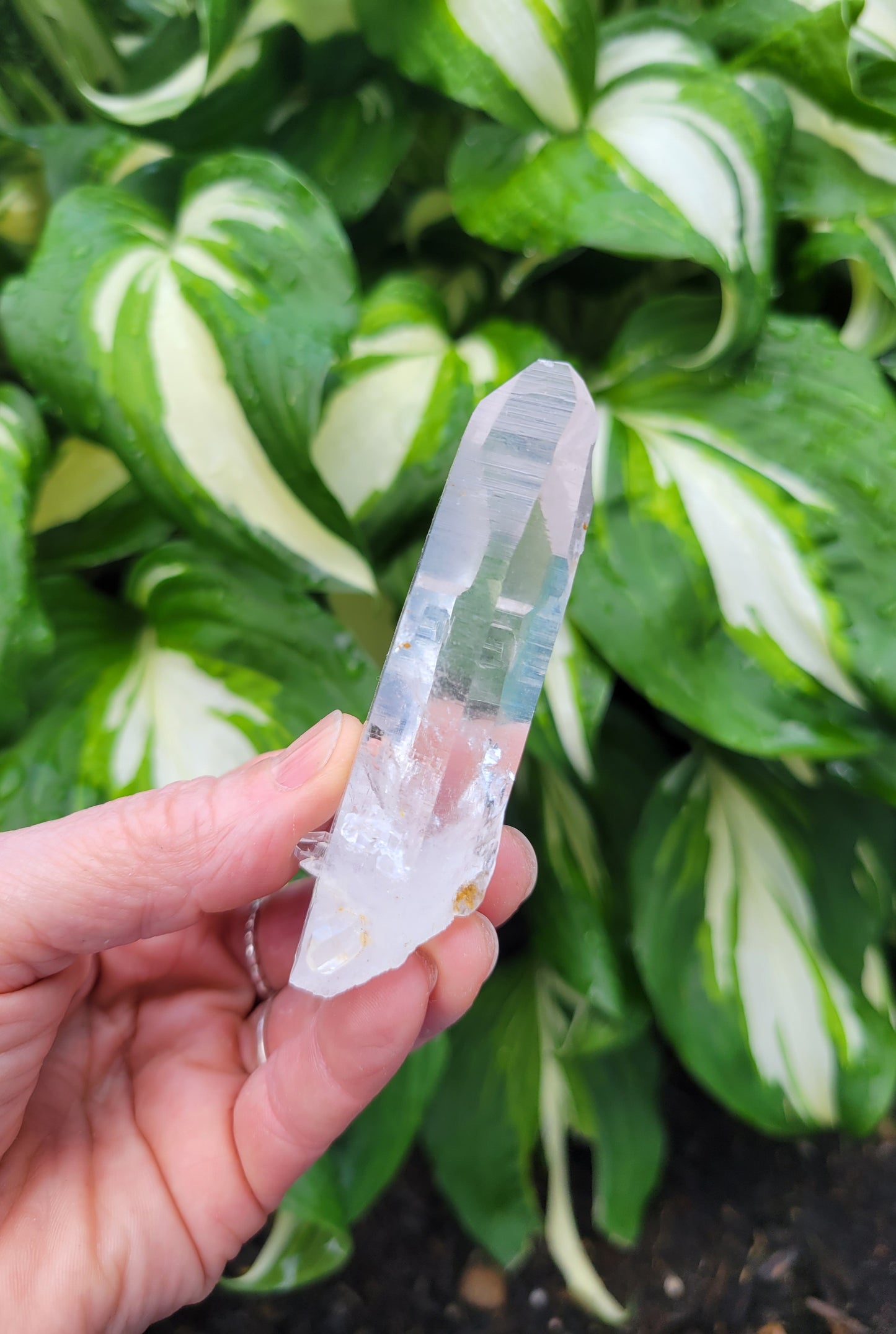 Lemurian Quartz from Colombia