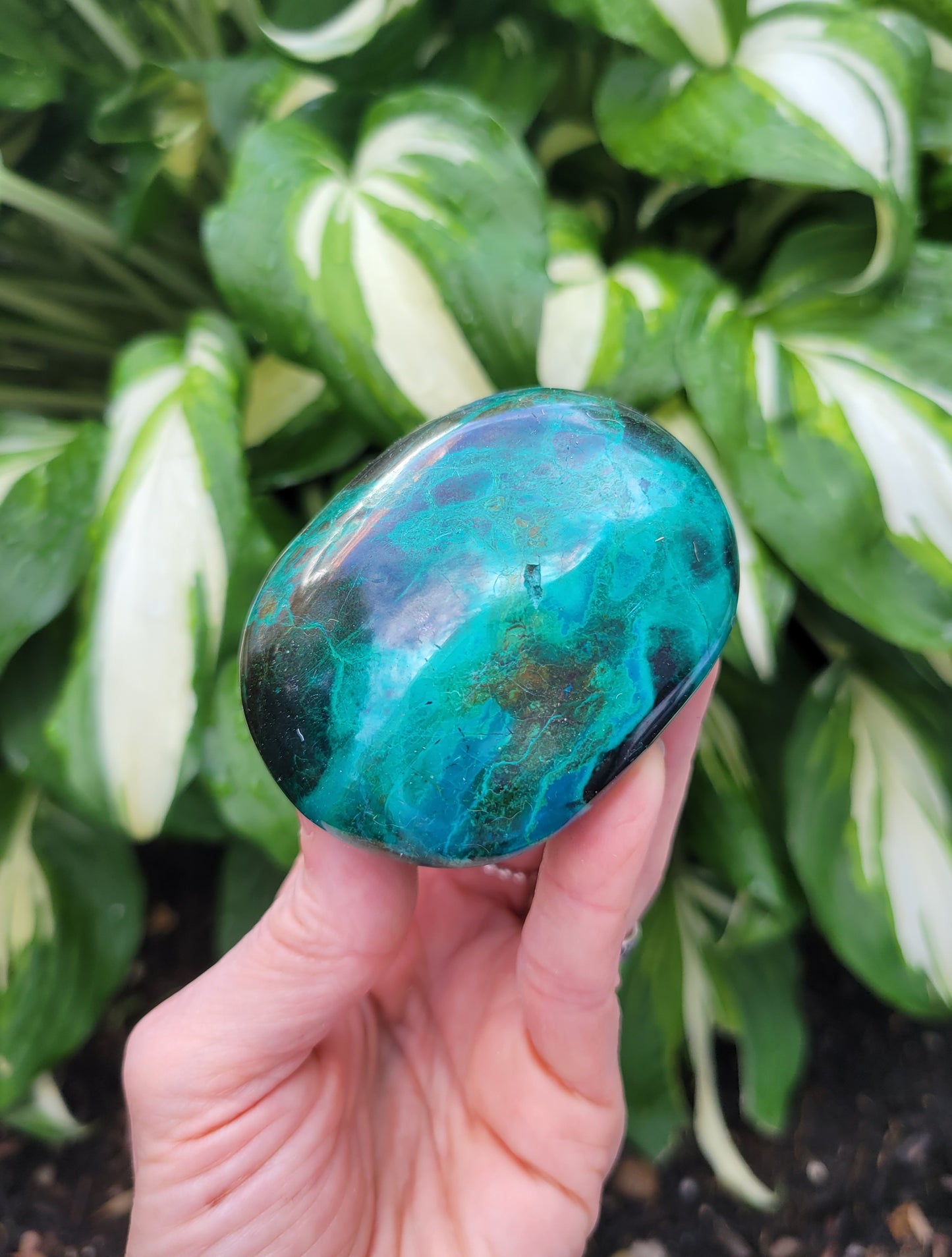 Chrysocolla Palm Stone from Peru