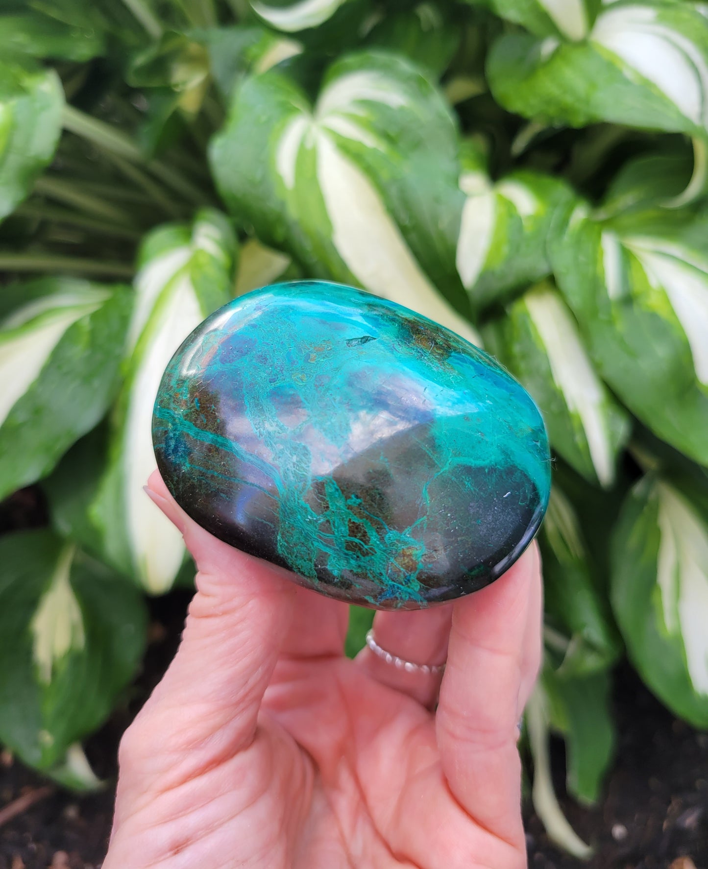 Chrysocolla Palm Stone from Peru