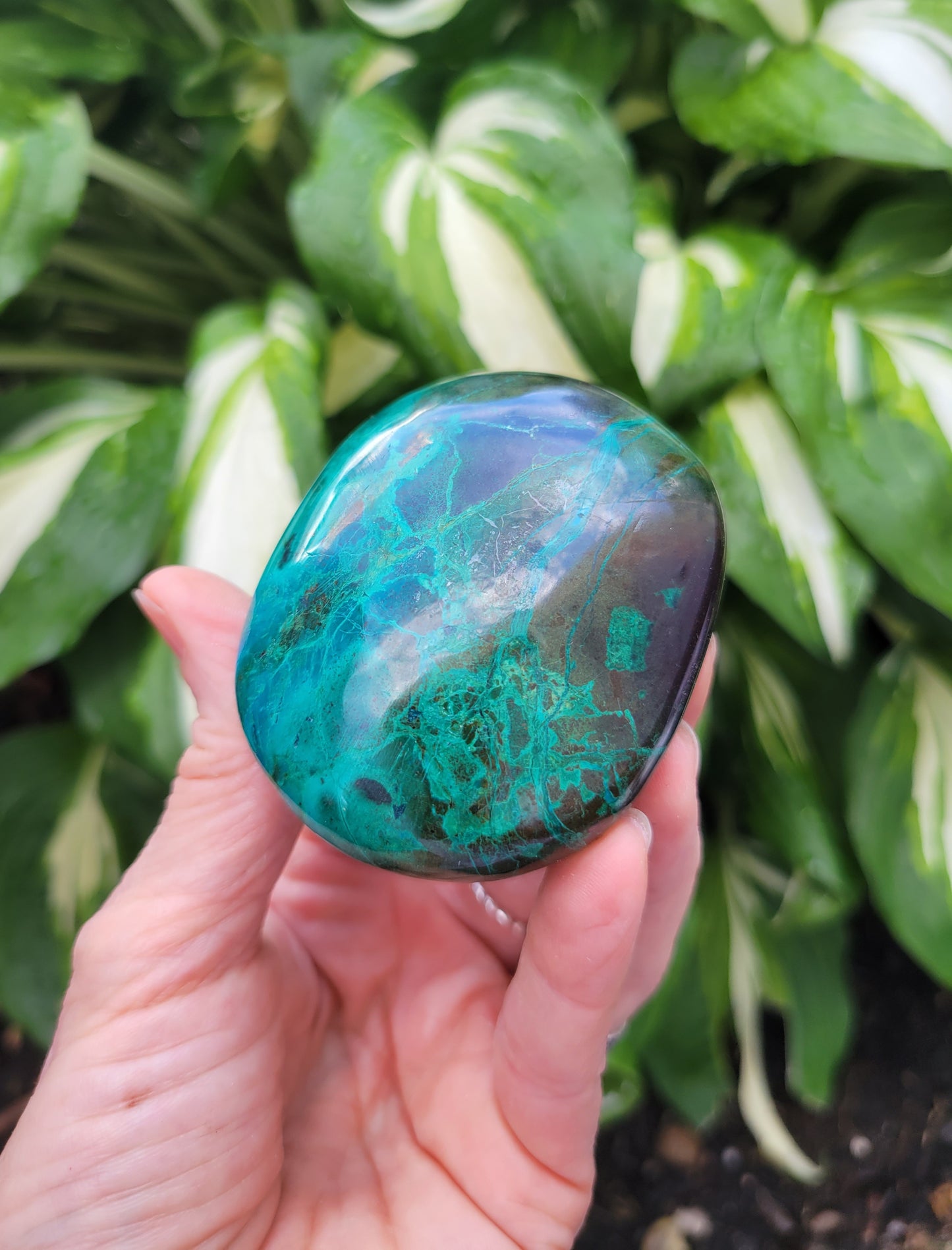 Chrysocolla Polished Palm Stone from Peru (2 1/8 X 1 X 3 3/4 inches)