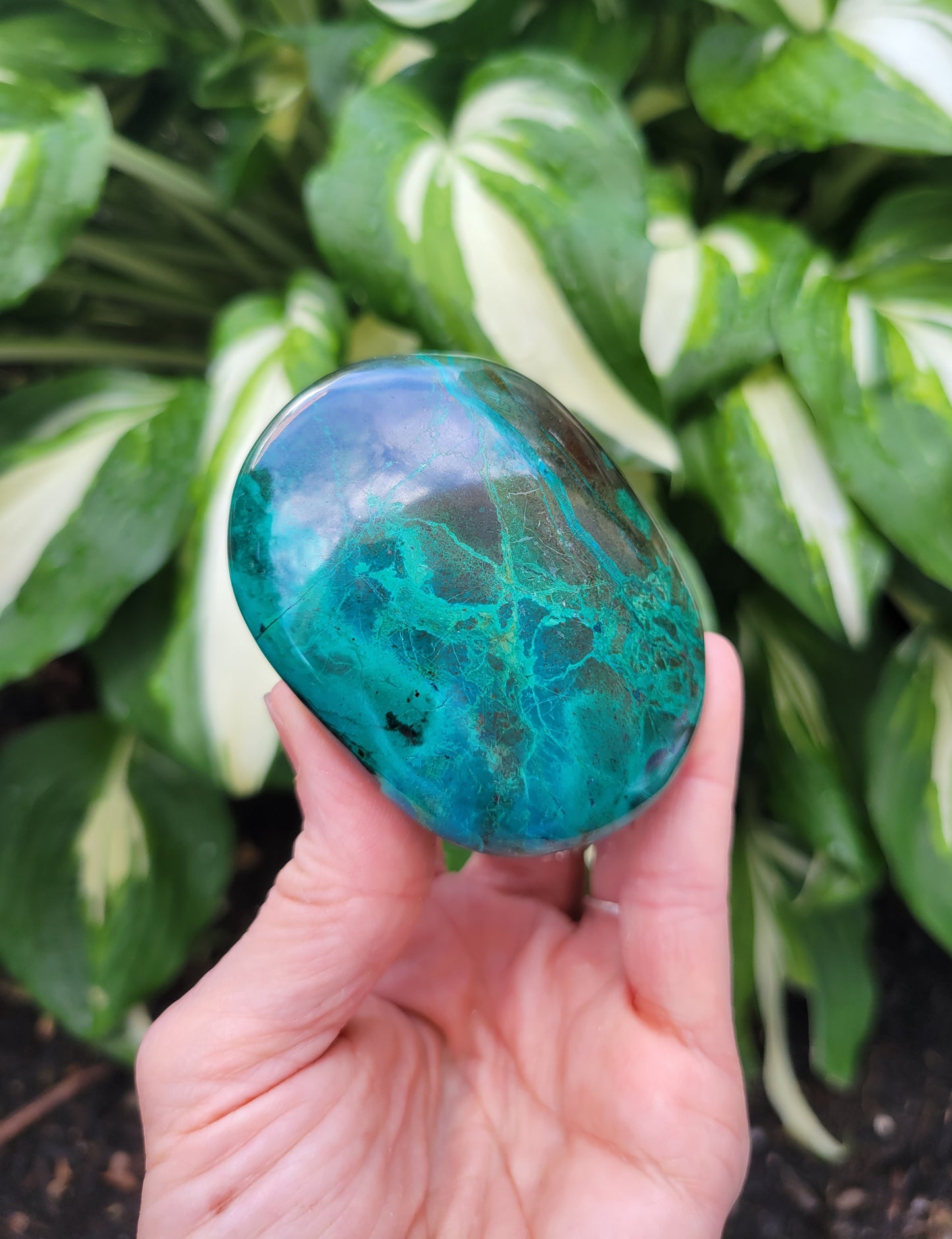 Chrysocolla Palm Stone from Peru