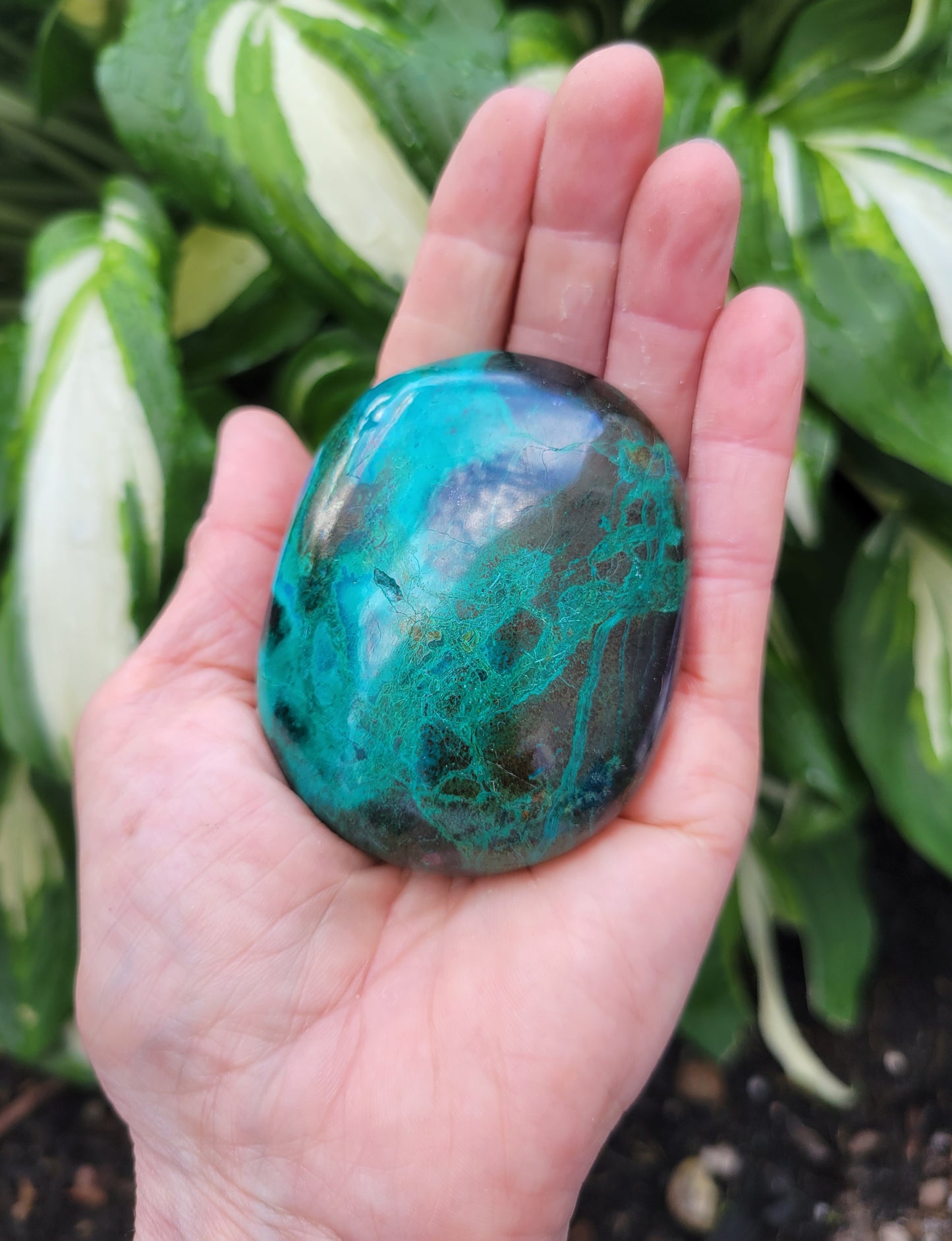 Chrysocolla Palm Stone from Peru