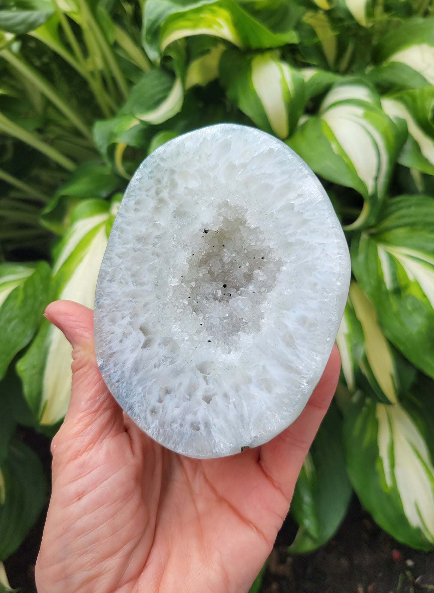 Prasiolite and Agate Box from Brazil