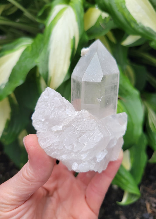 Himalayan Samadhi Quartz from Himachal Pradesh, India