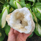 Moroccan Geode Specimen with Quartz and Calcite (W 4 X D 4 X H 3 inches)