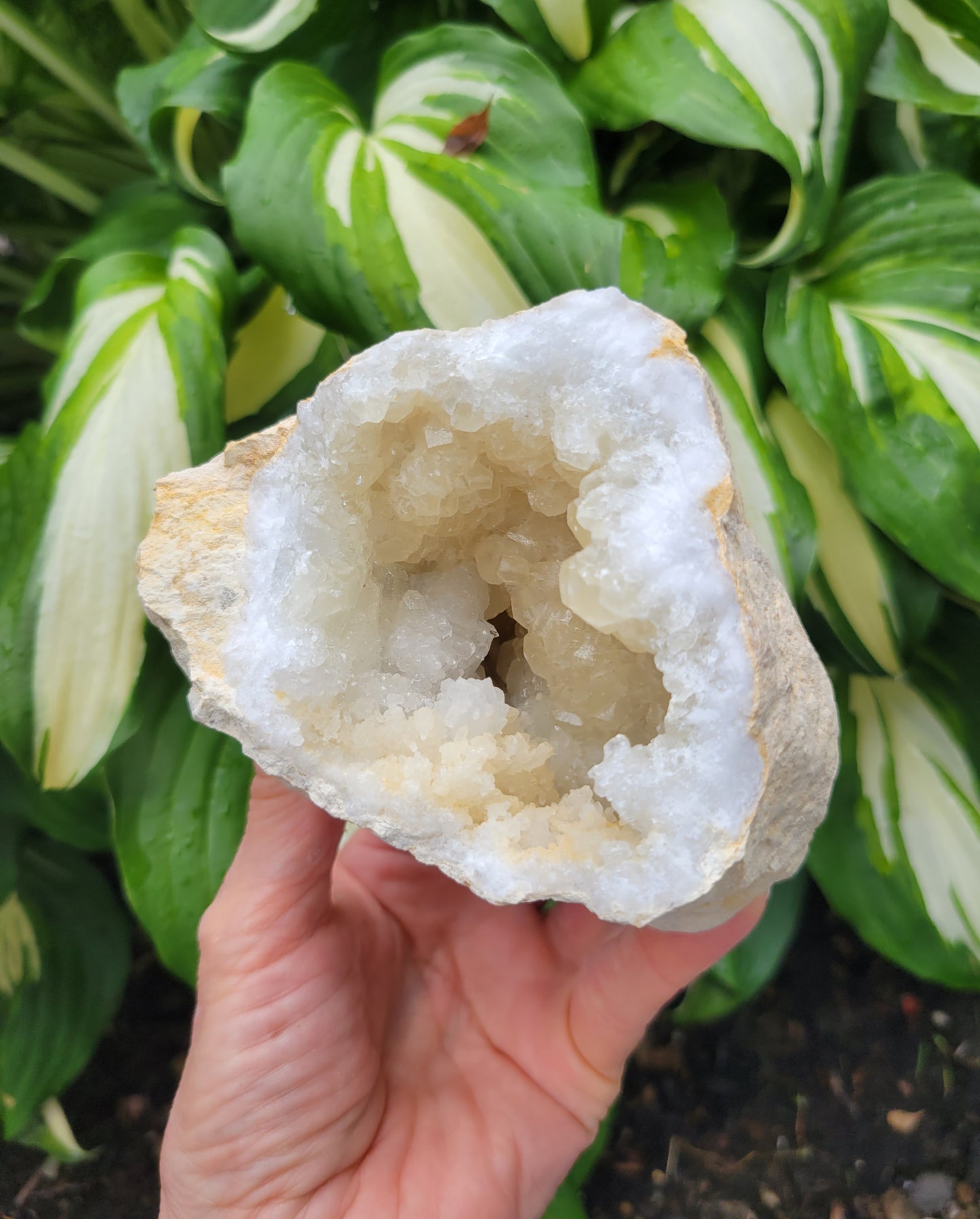 Moroccan Geode Specimen with Quartz and Calcite (W 4 X D 4 X H 3 inches)