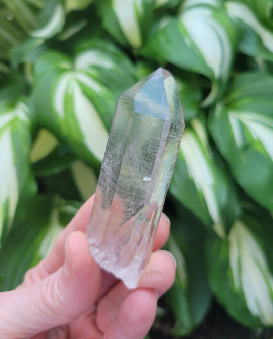 Himalayan Smokey Quartz Parcel from Himachal Pradesh, India