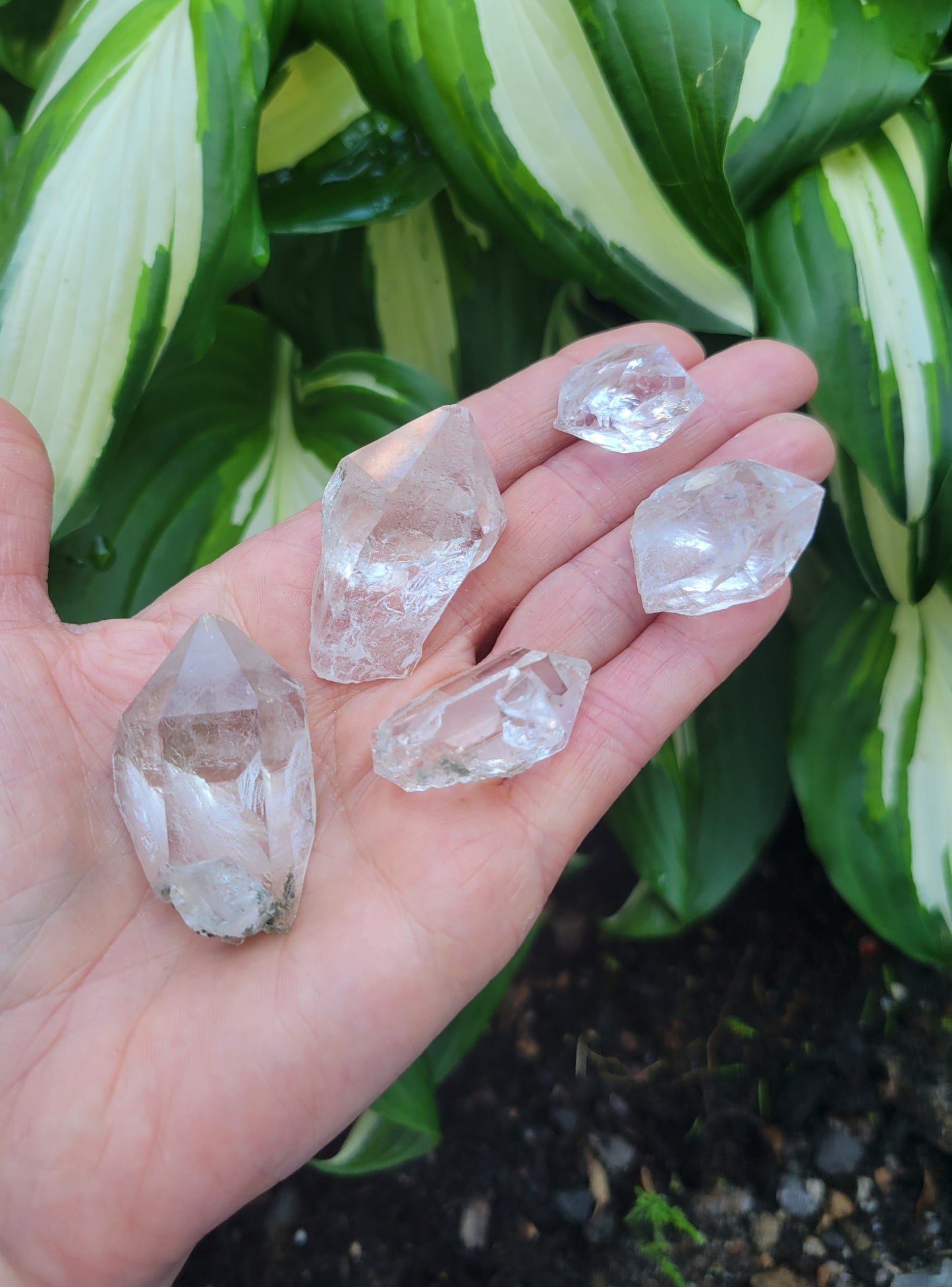 Himalayan Quartz Parcel from Himachal Pradesh, India