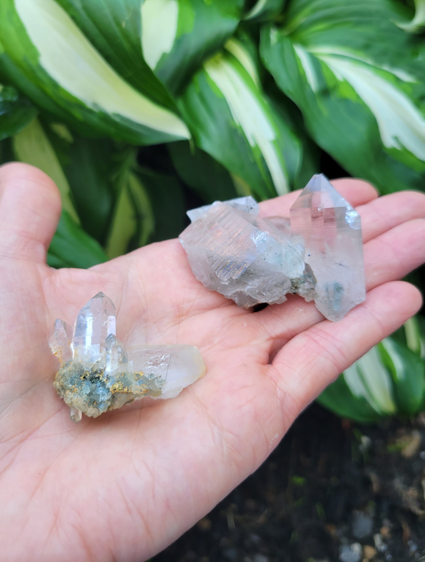 Quartz Cluster (Smokey and Clear Himalayan) Parcel from Himalchal Pradesh, India