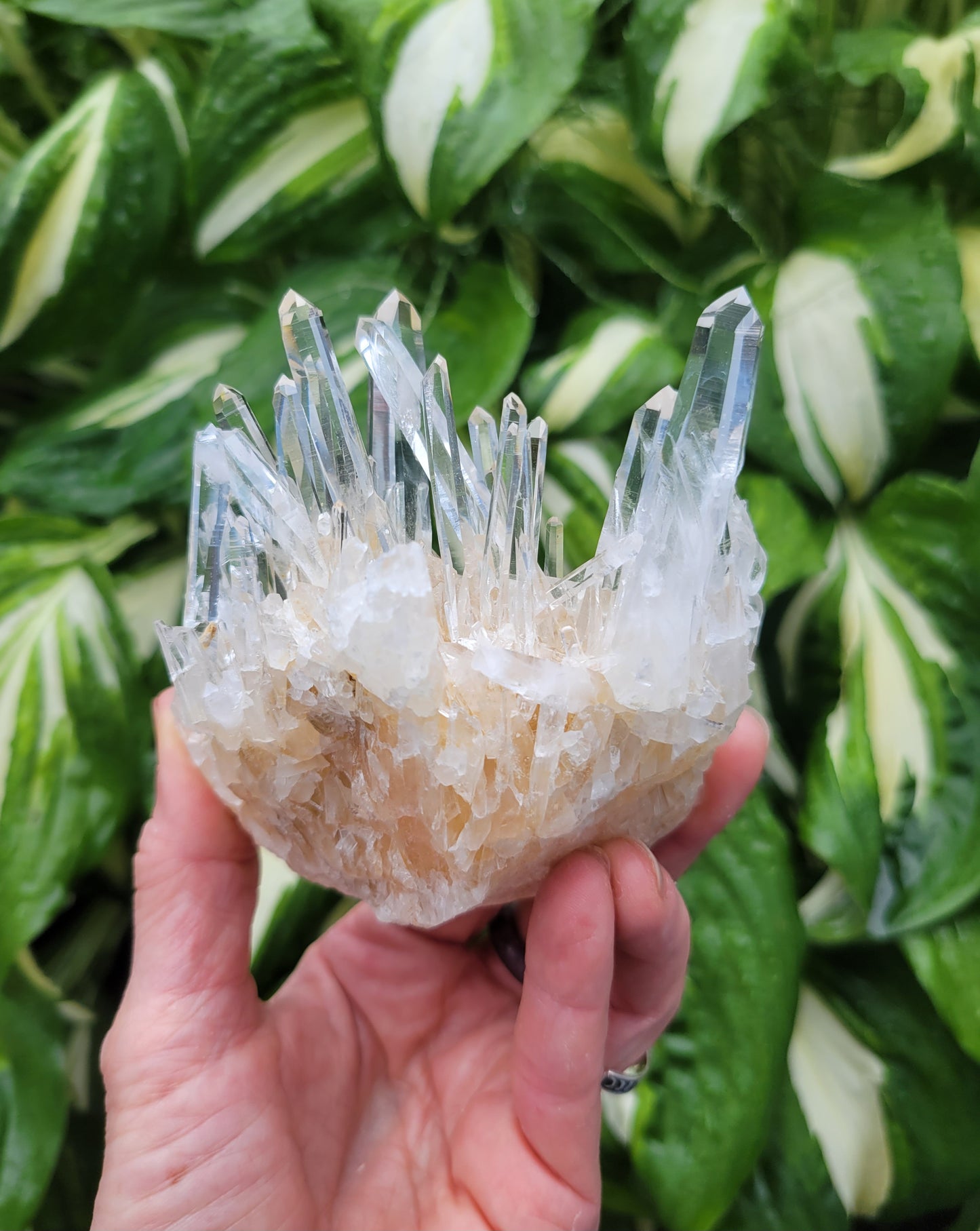 Quartz Cluster from Santander, Colombia