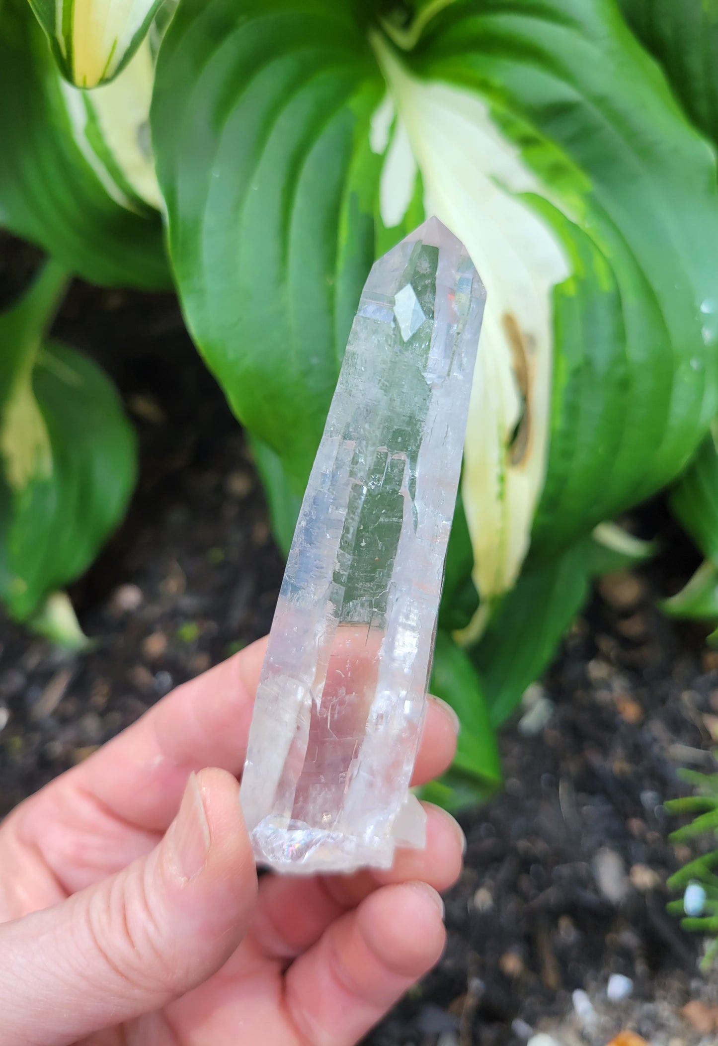 Laser Quartz from Brazil