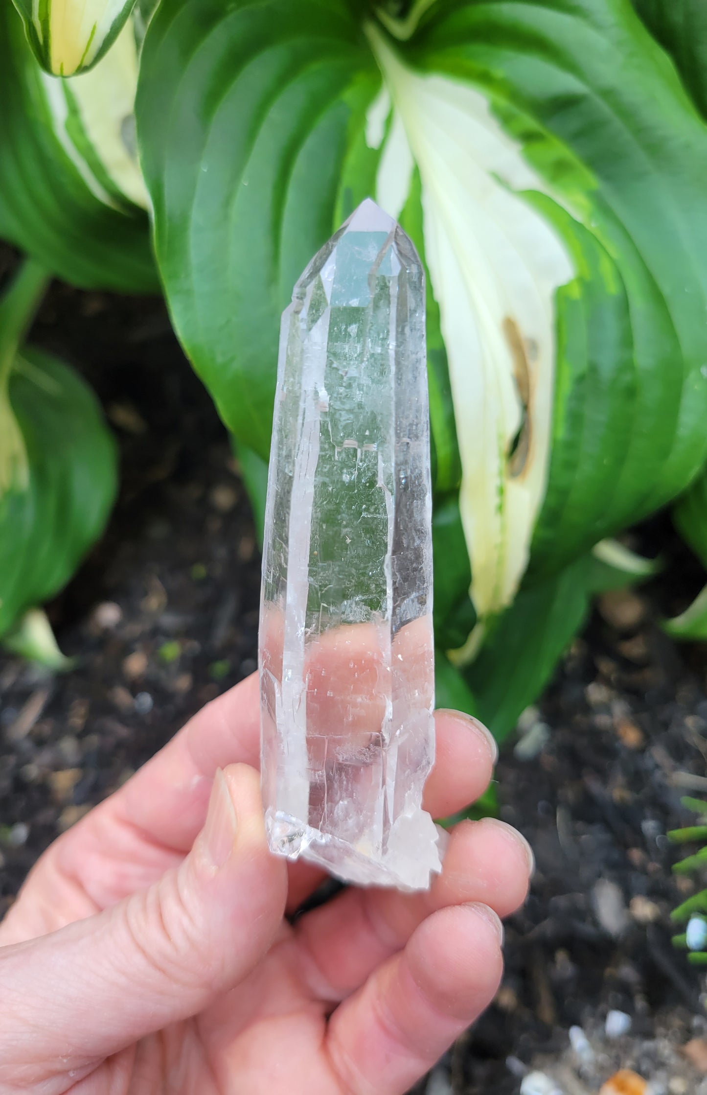 Laser Quartz from Brazil