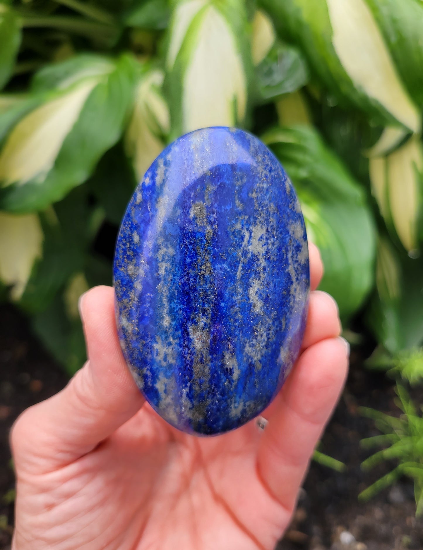 Lapis Lazuli Palm Stone from Pakistan