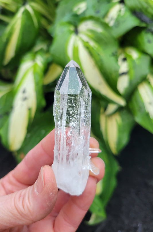 Optical Quartz from Colombia