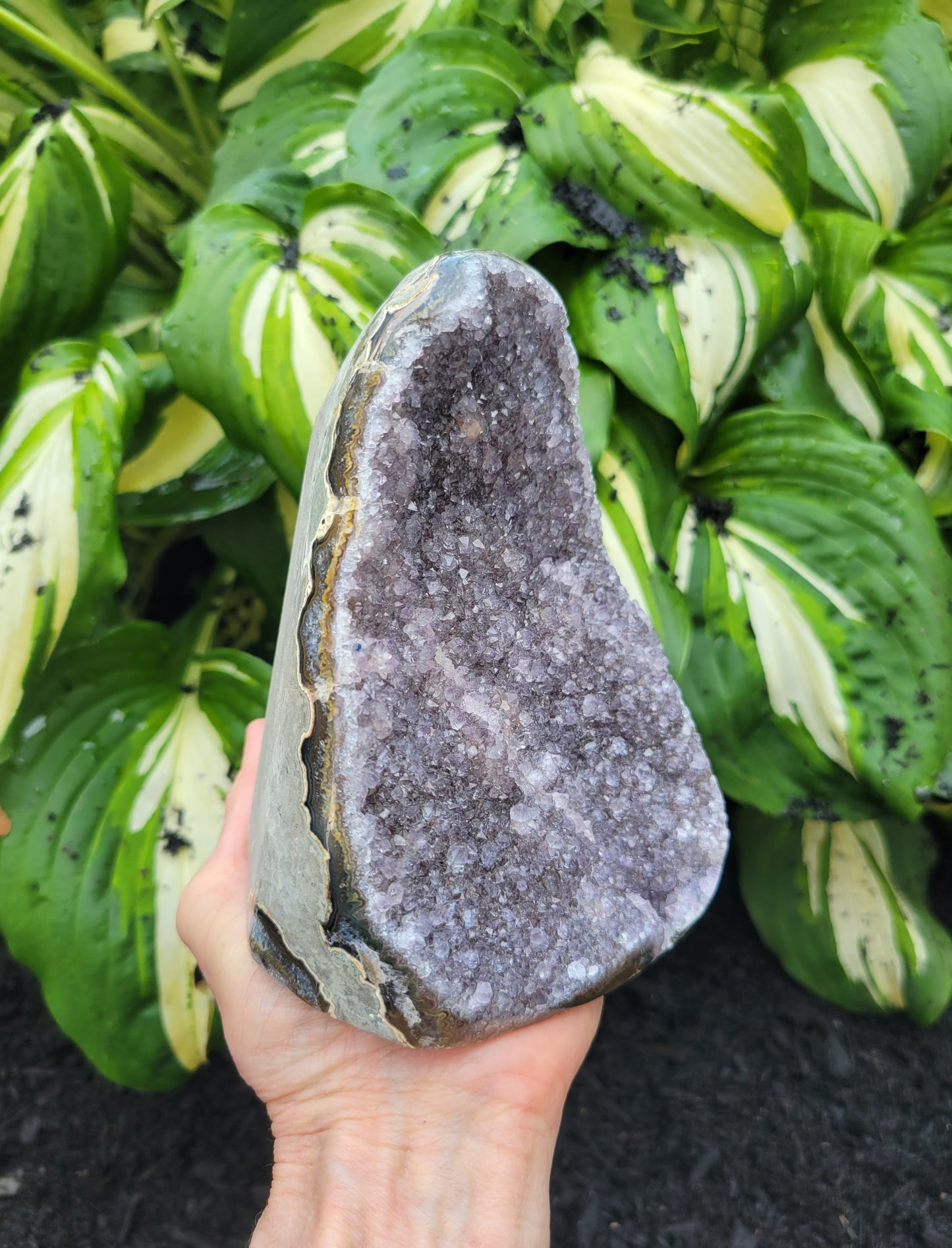 Amethyst Cut Base from Uruguay