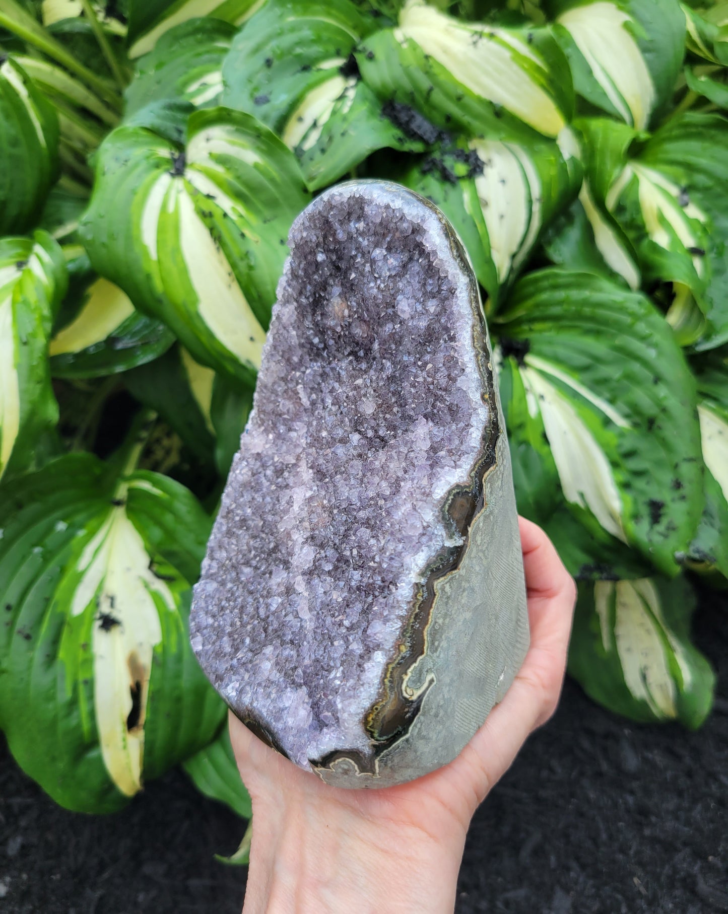 Amethyst Cut Base from Uruguay