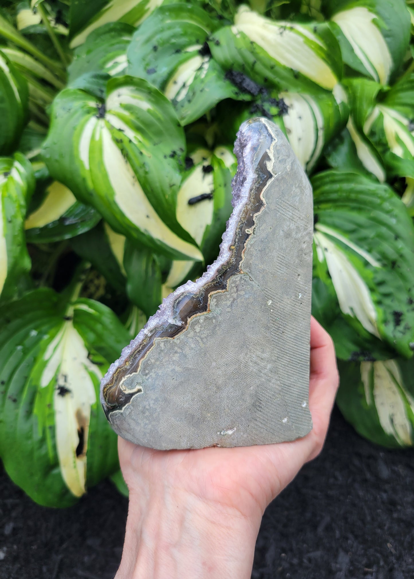 Amethyst Cut Base from Uruguay