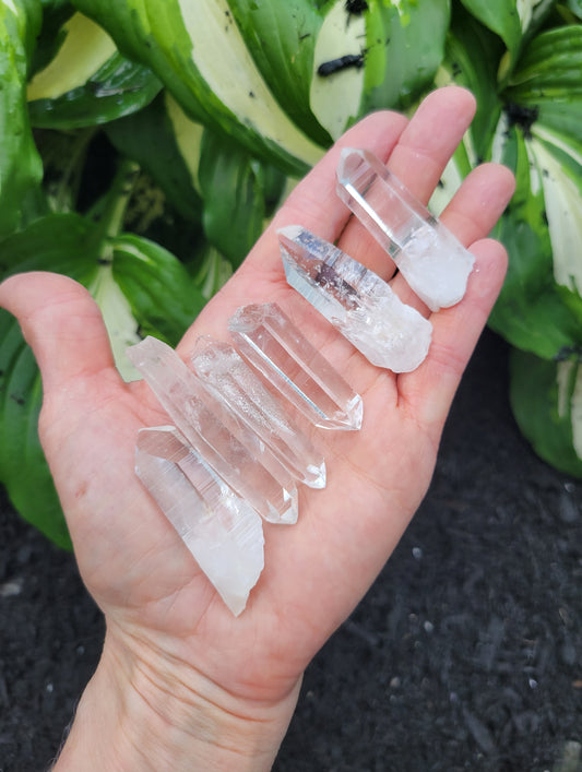Quartz, Parcel of Six from Colombia