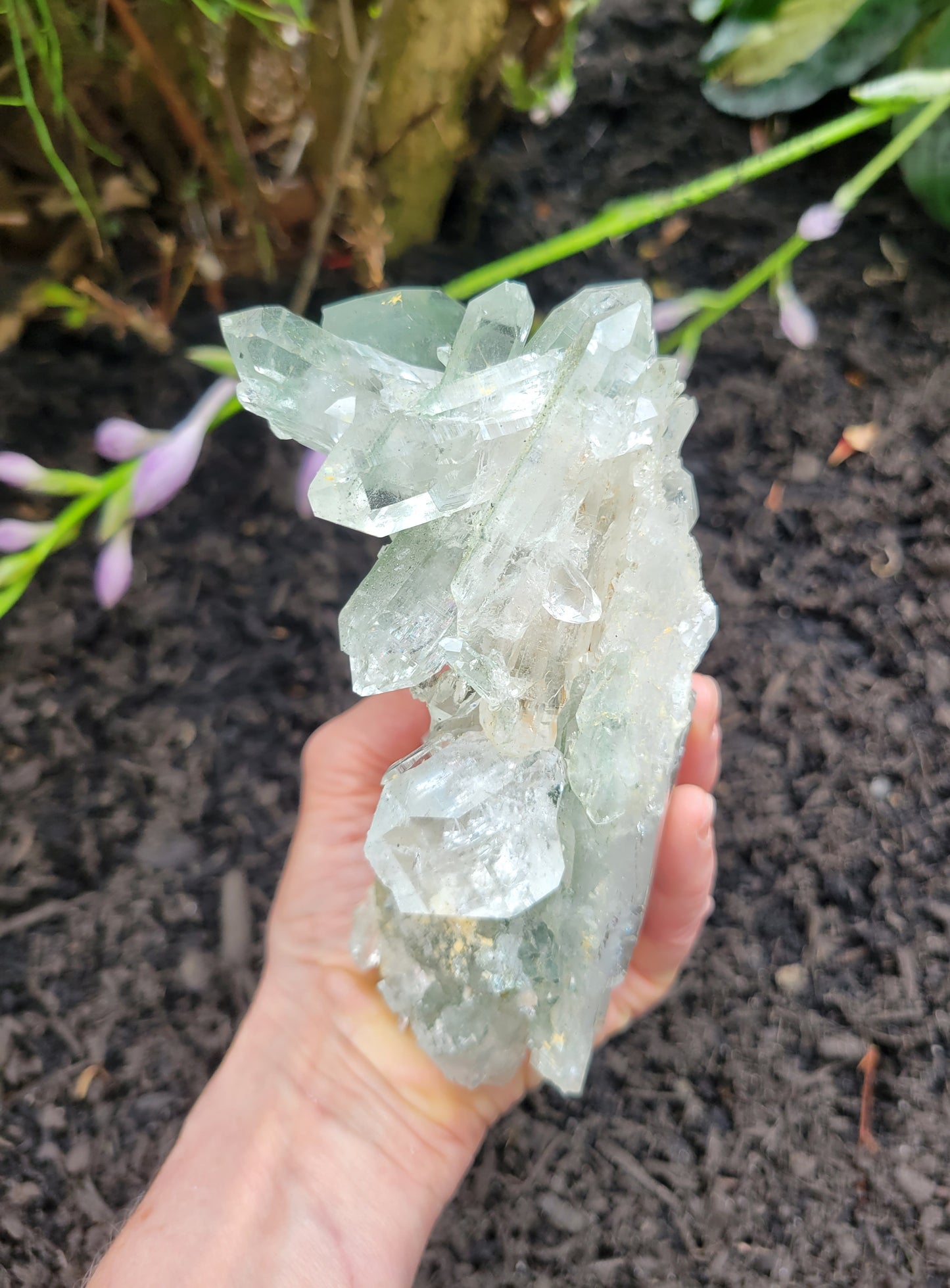 Himalayan Quartz with Clinochlore from Himachal Pradesh, India