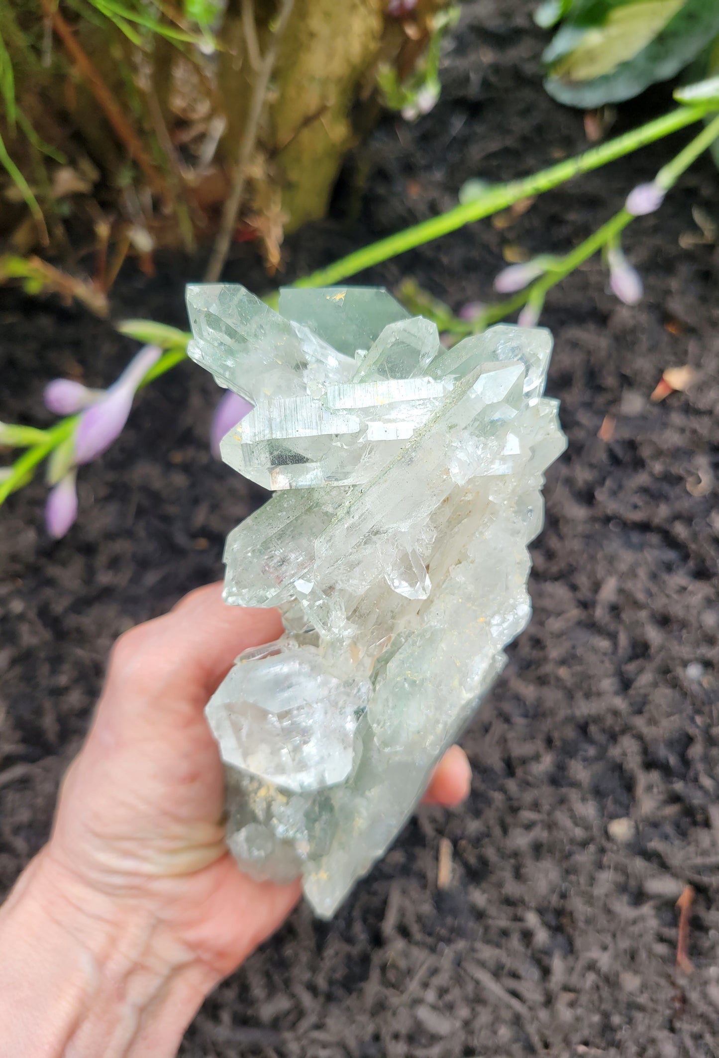 Himalayan Quartz with Clinochlore from Himachal Pradesh, India