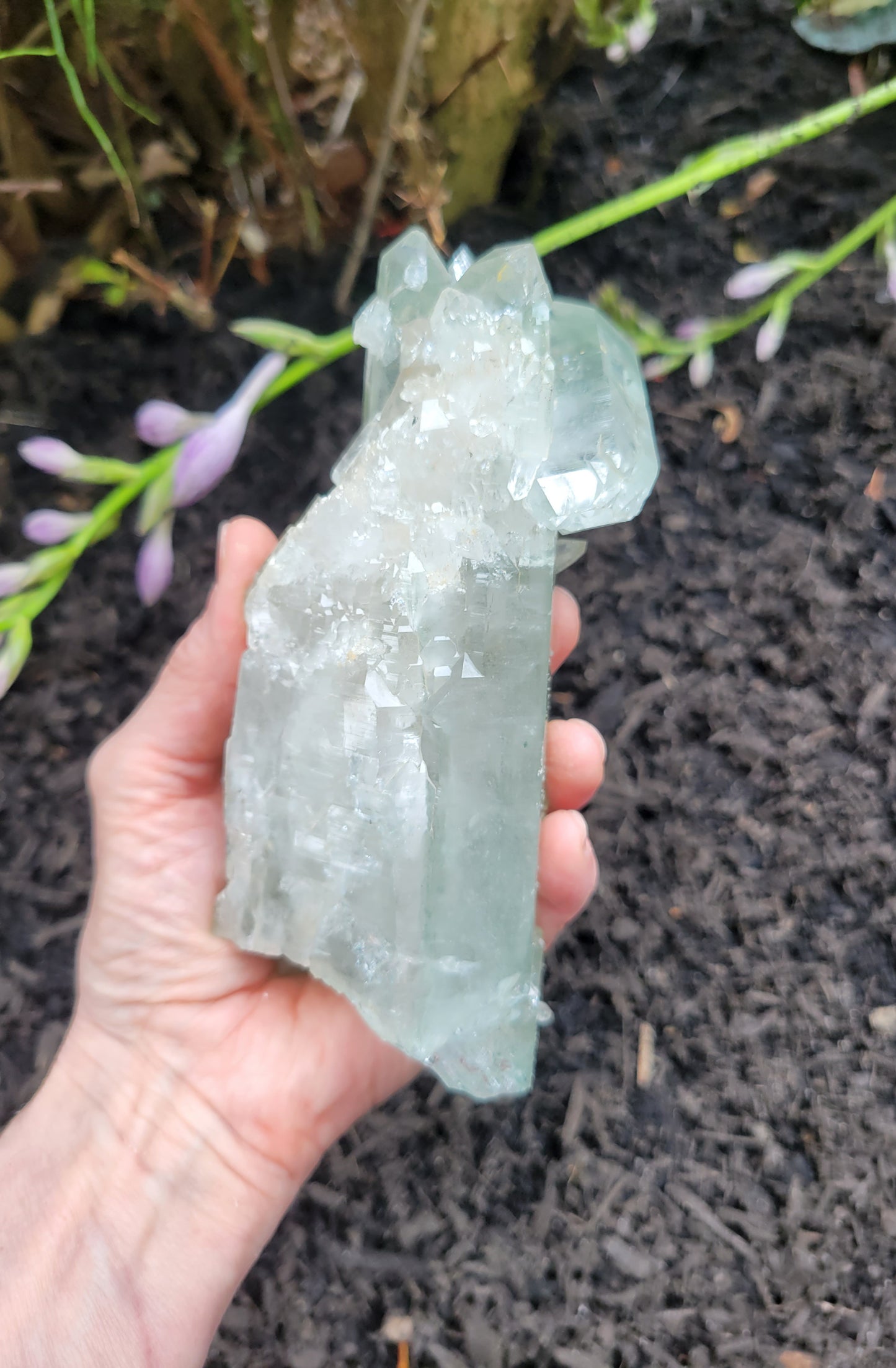 Himalayan Quartz with Clinochlore from Himachal Pradesh, India