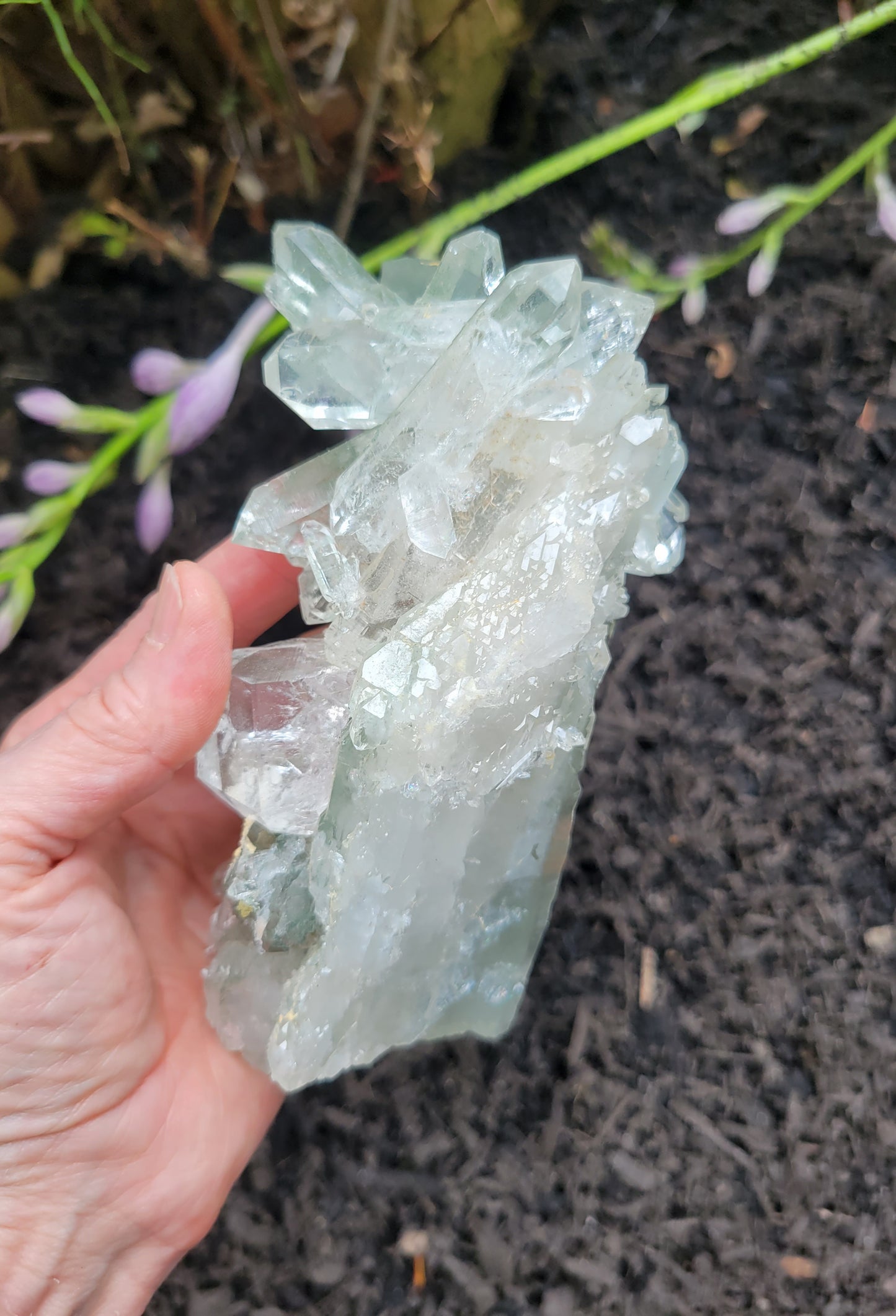 Himalayan Quartz with Clinochlore from Himachal Pradesh, India