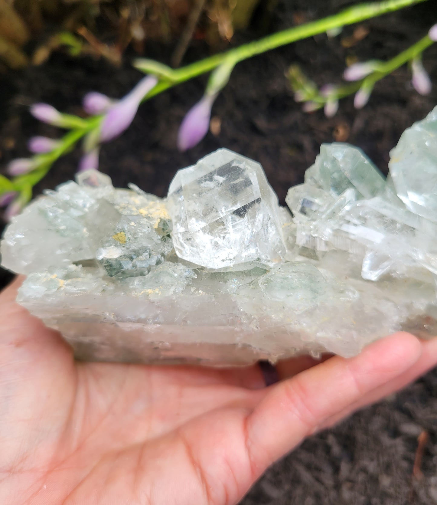 Himalayan Quartz with Clinochlore from Himachal Pradesh, India