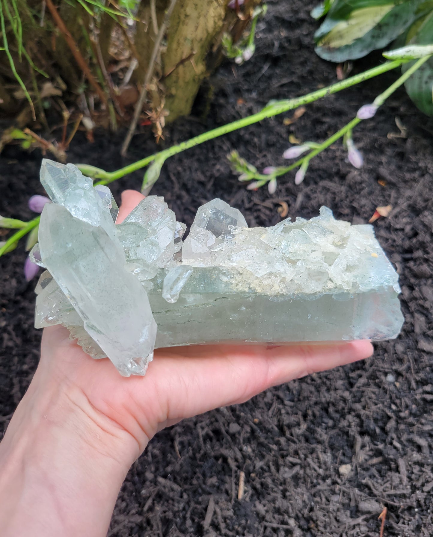 Himalayan Quartz with Clinochlore from Himachal Pradesh, India