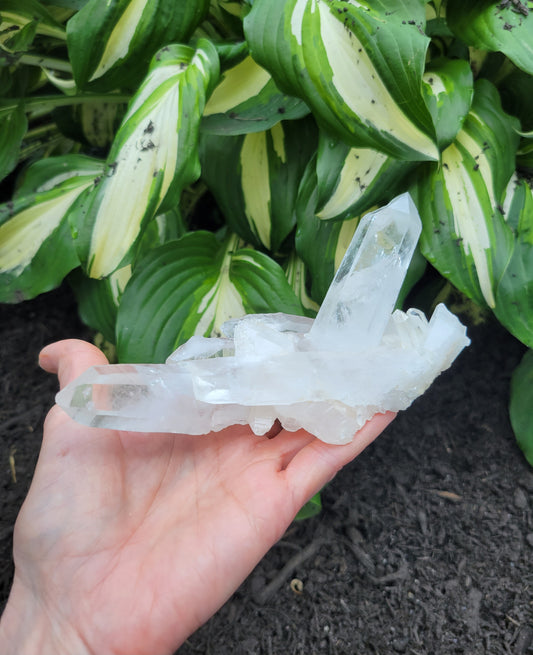 Himalayan Samadhi Quartz from Himachal Pradesh, India