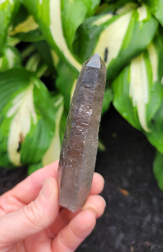 Smokey Phantom Quartz from South Africa