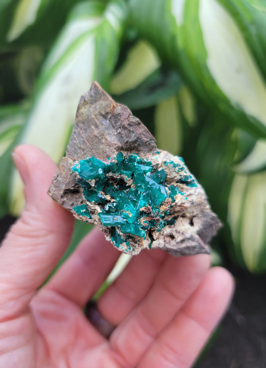 Dioptase from Congo