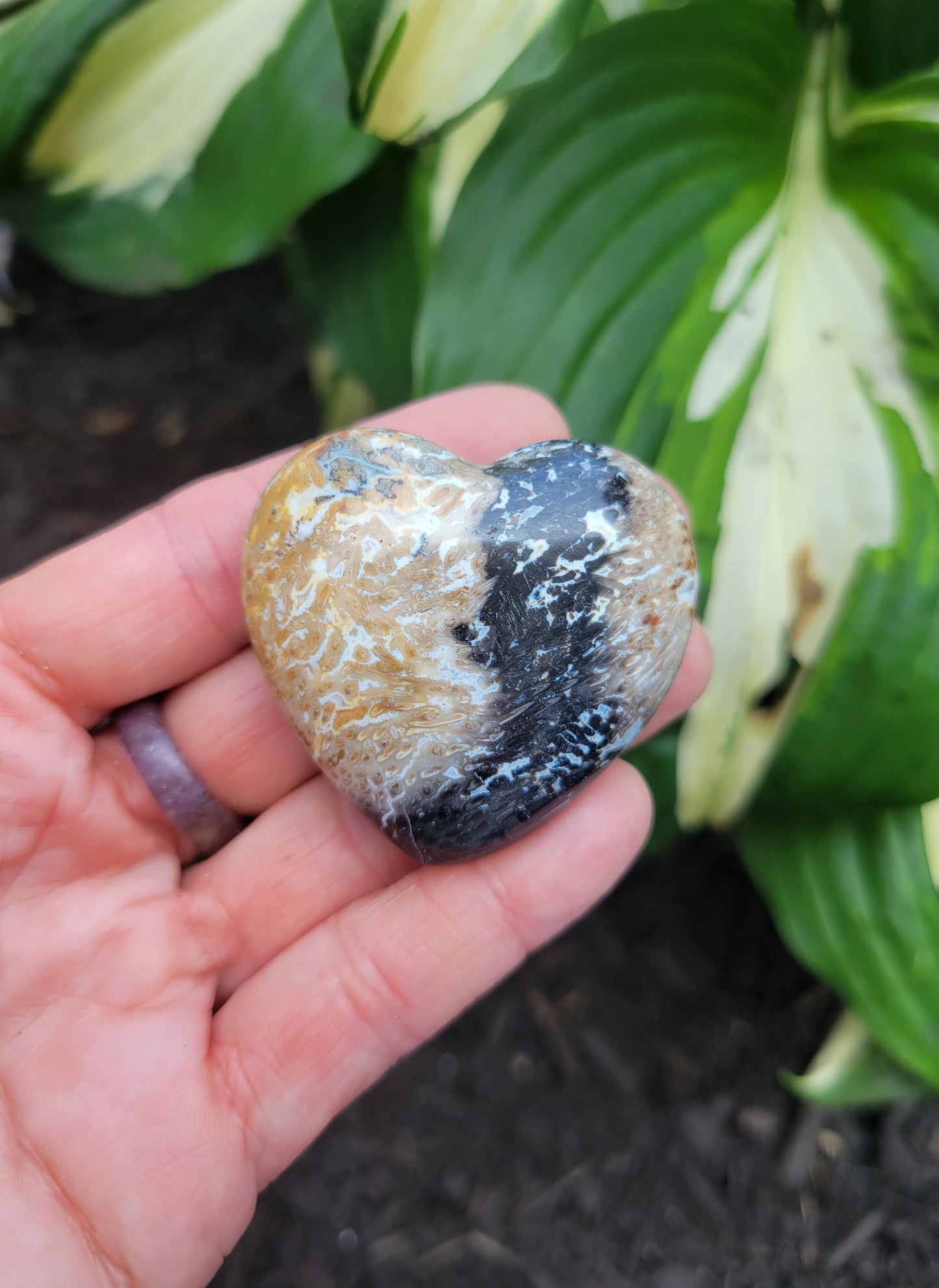 Petrified Palm Root Polished Heart from Indonesia
