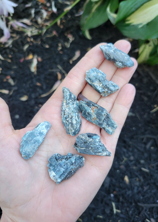 Tricolor Kyanite from Brazil (7 grams)