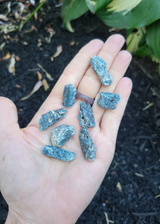Tricolor Kyanite from Brazil, small (6 grams)
