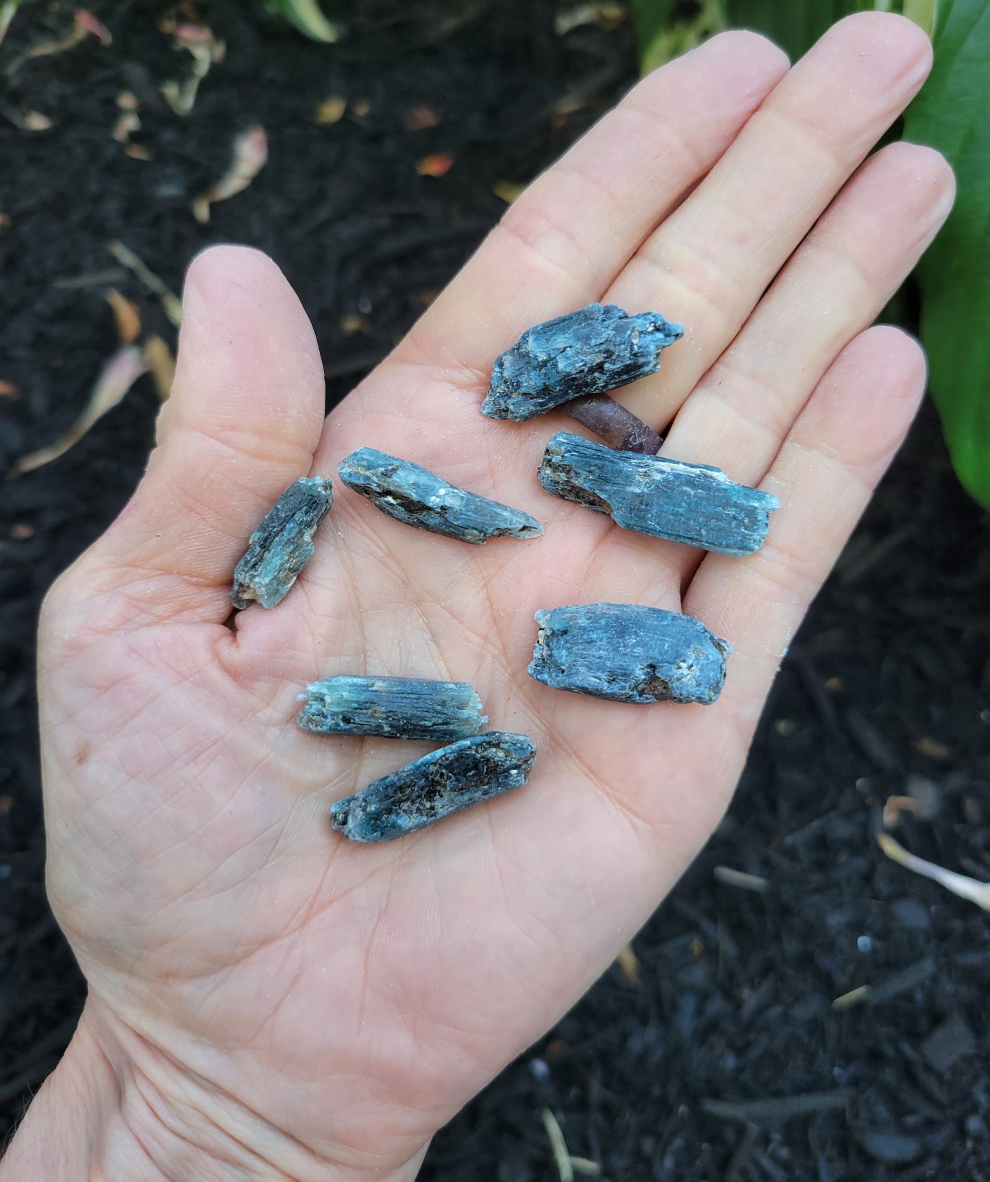 Tricolor Kyanite Specimen from Brazil, small (6 grams)