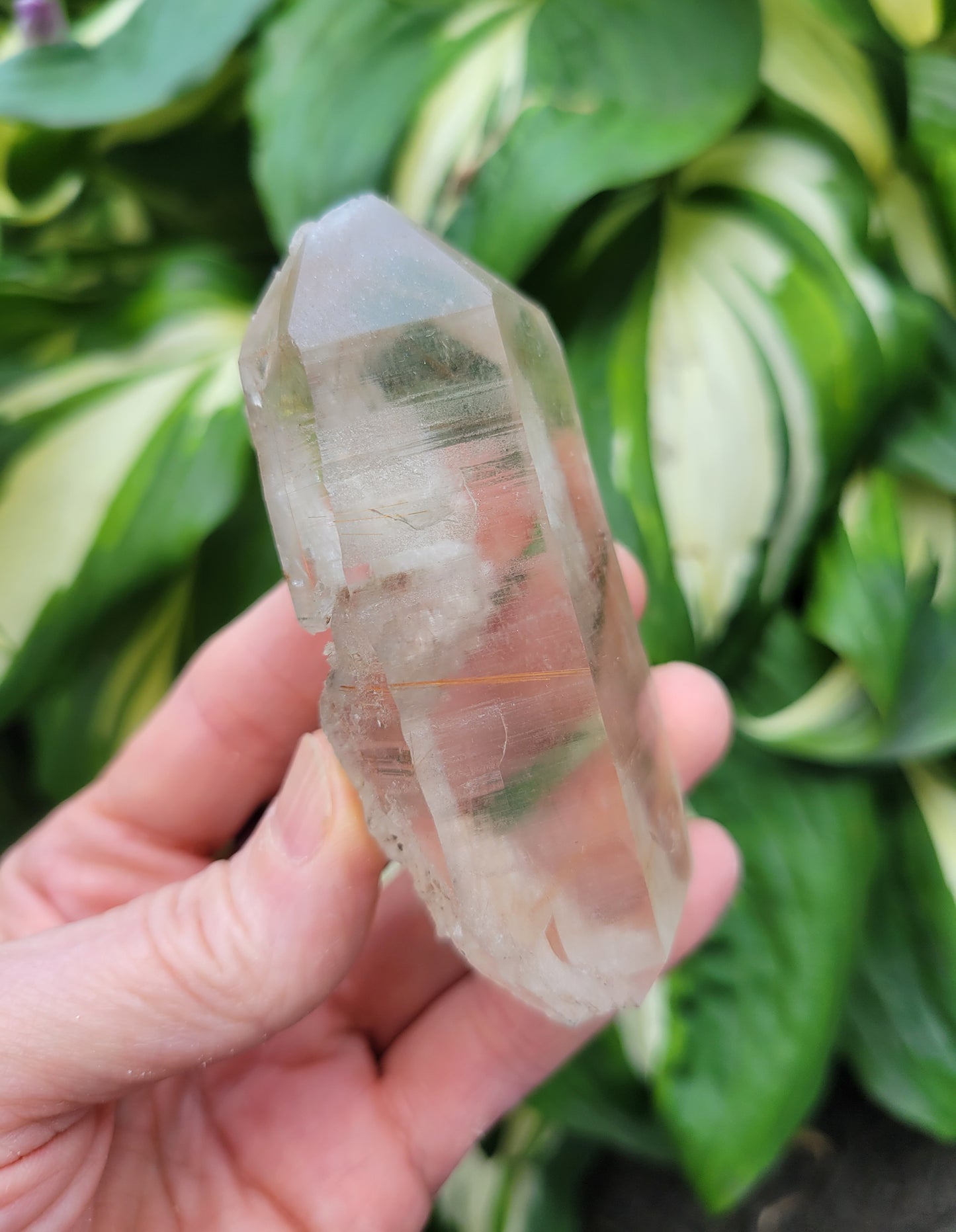 Himalayan Rutilated Quartz from India