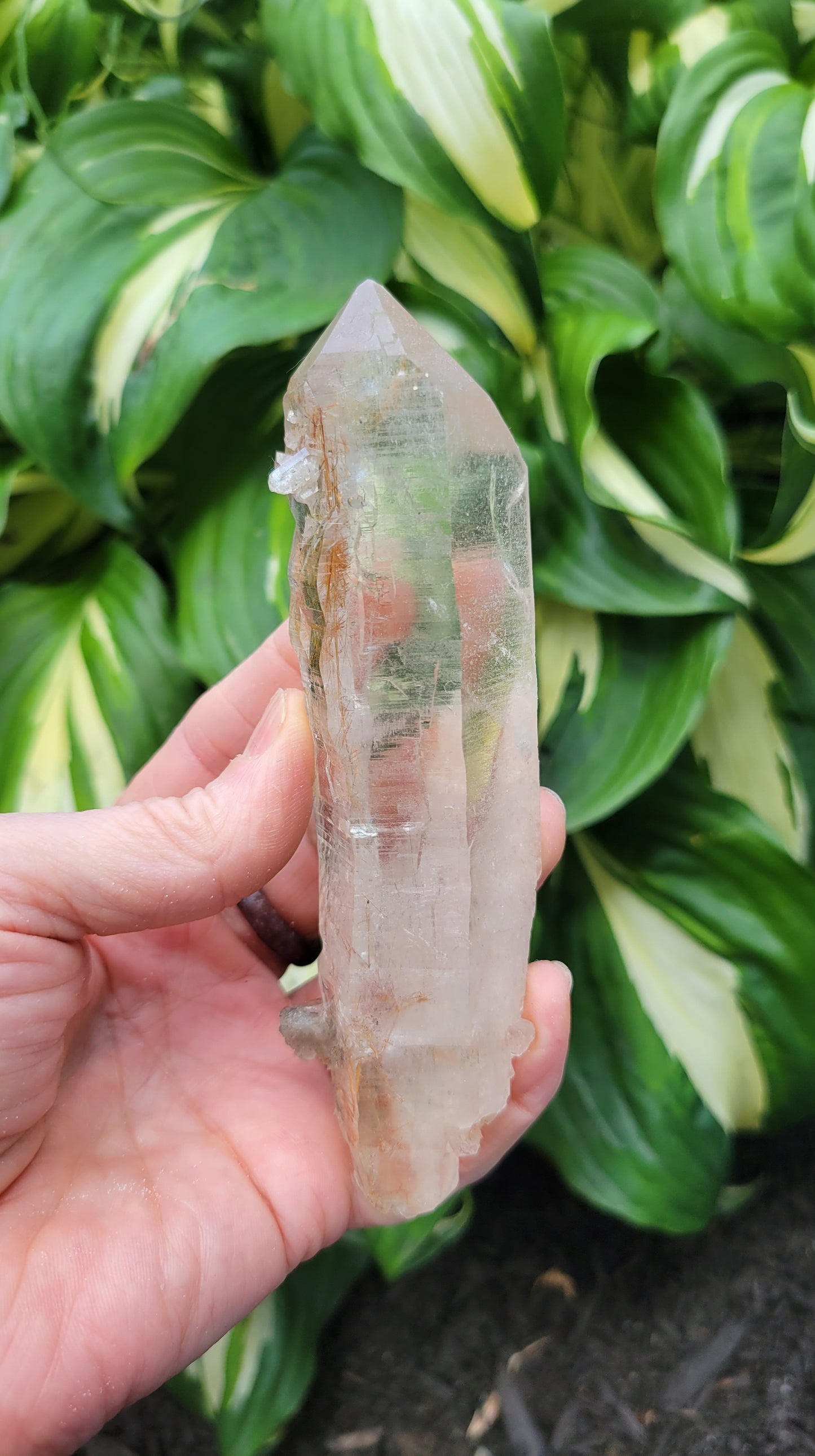 Himalayan Rutilated Quartz from India