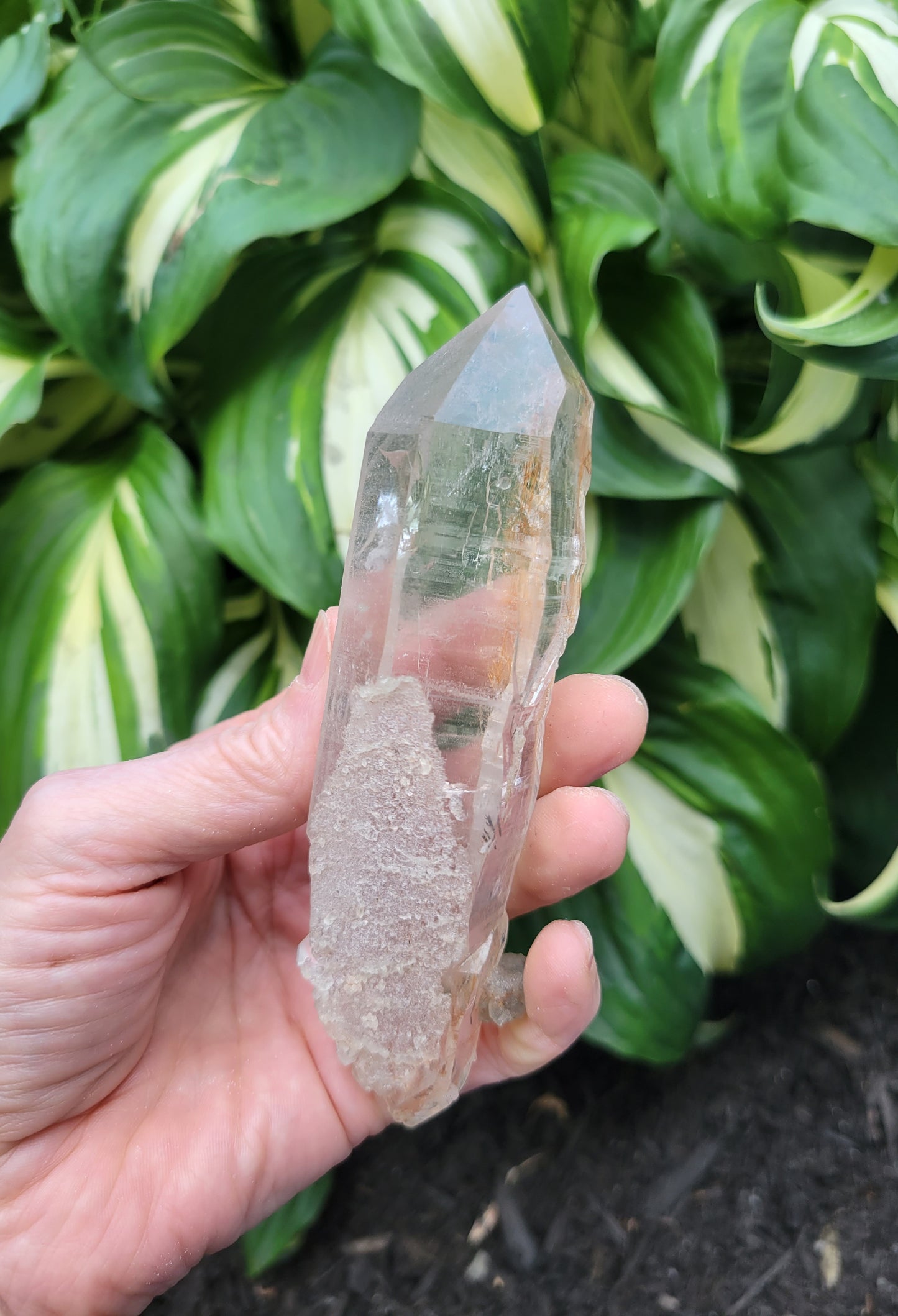 Himalayan Rutilated Quartz from India