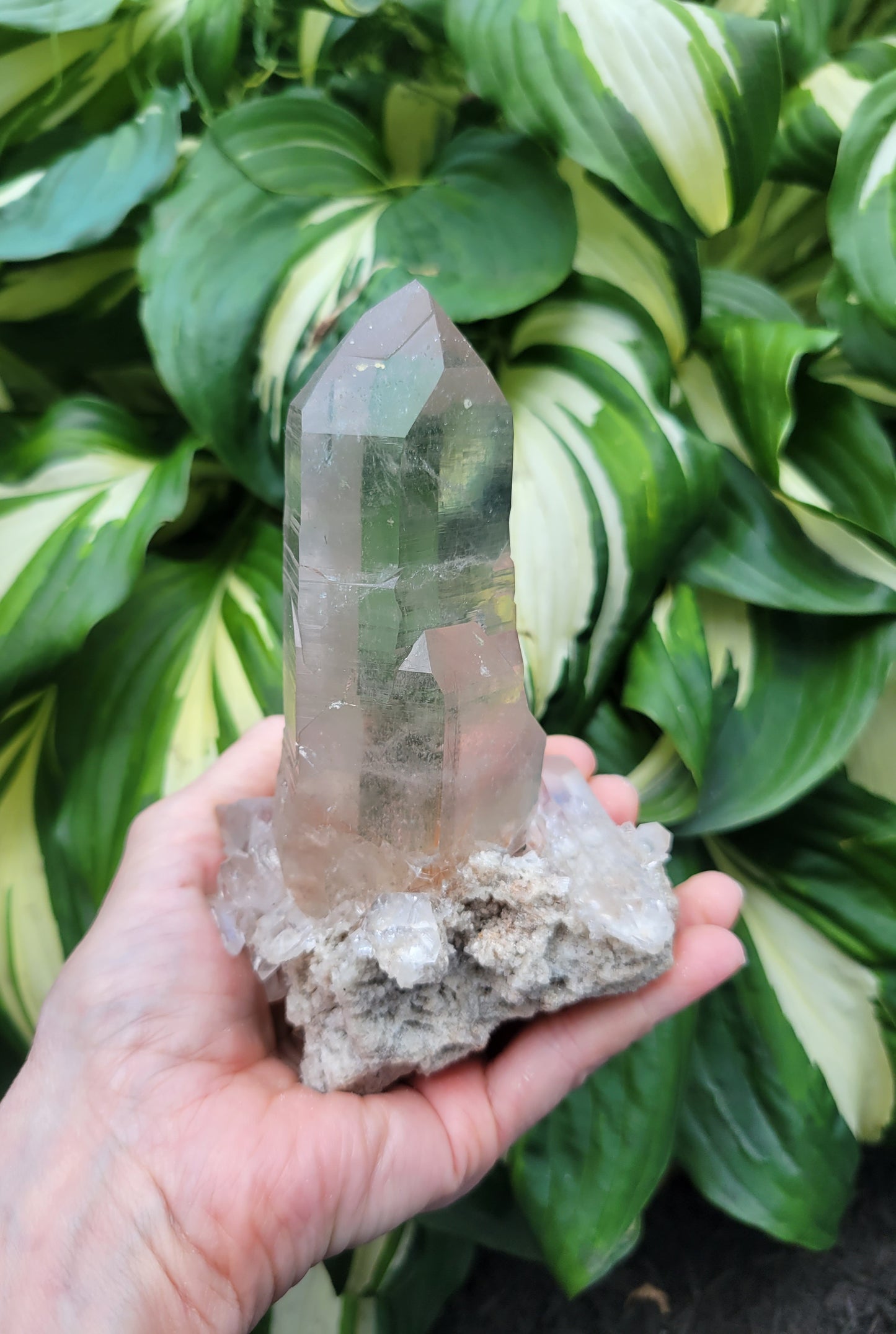 Himalayan Rutilated Quartz from India