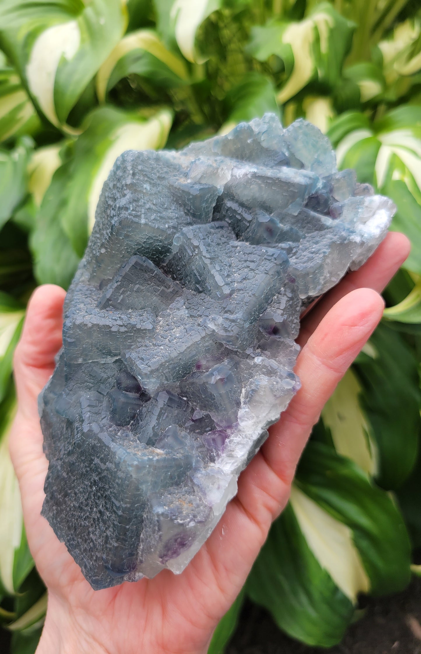 Fluorite Specimen from China (W 6 X D 3 1/4 X 2 inches)