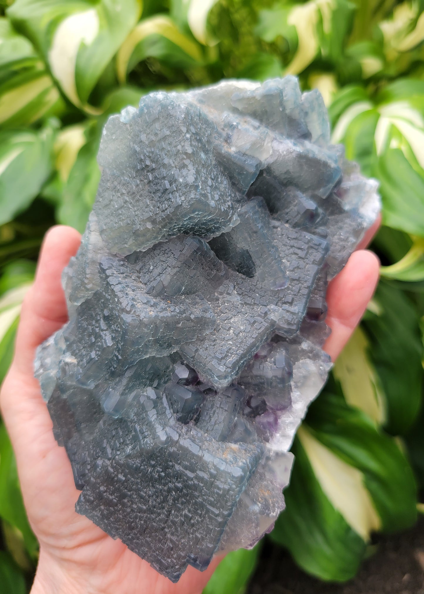 Fluorite Specimen from China (W 6 X D 3 1/4 X 2 inches)