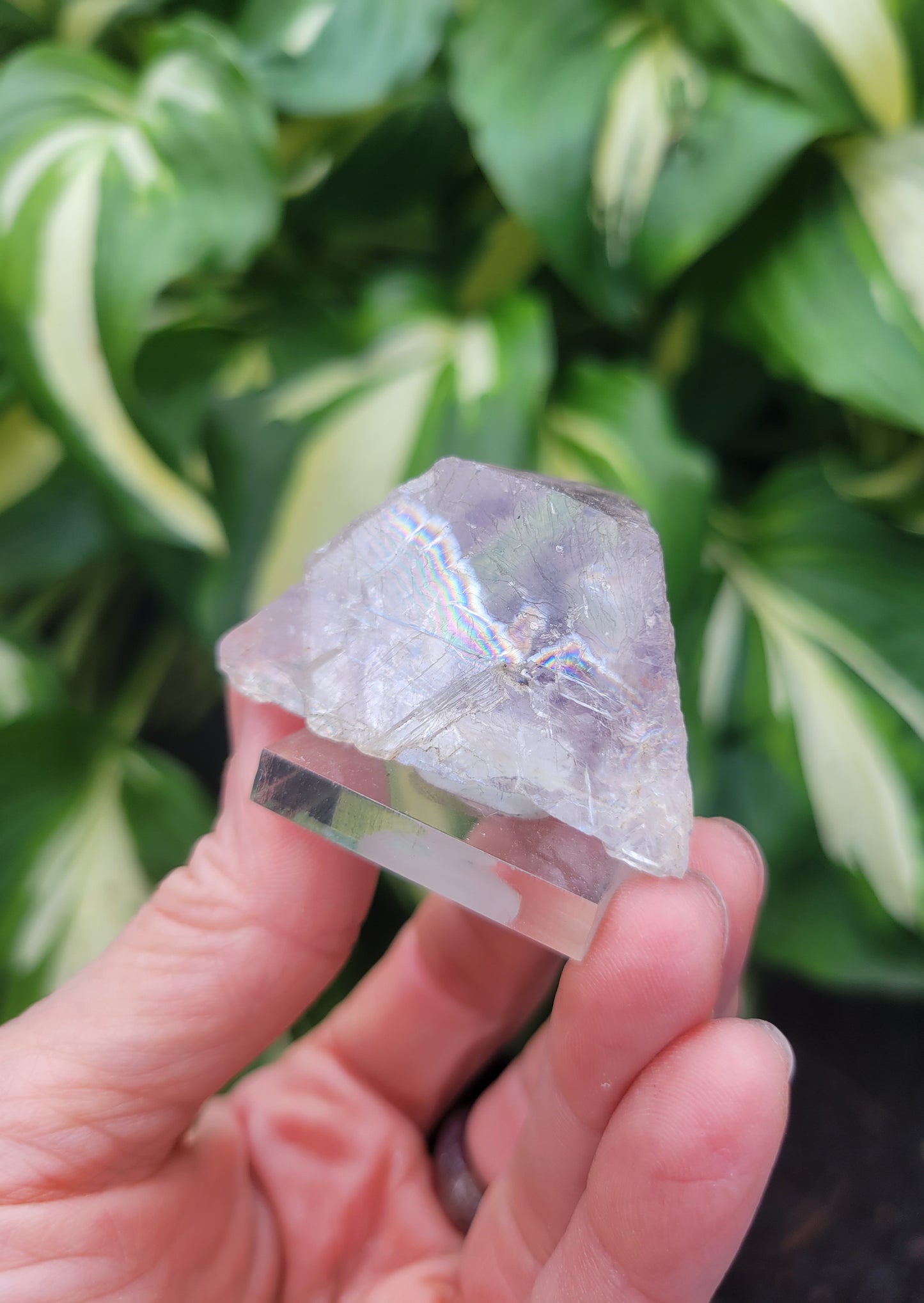 Fluorite from Cave in Rock, Illinois