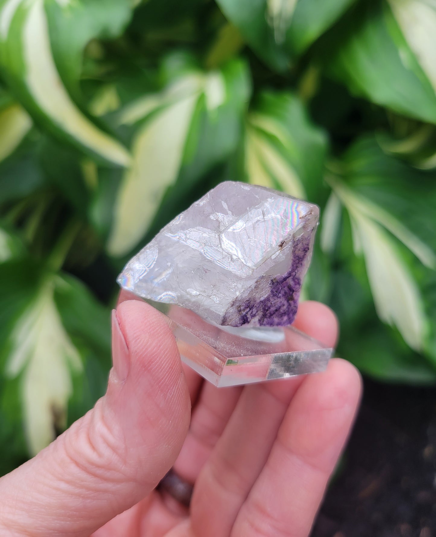Fluorite from Cave in Rock, Illinois