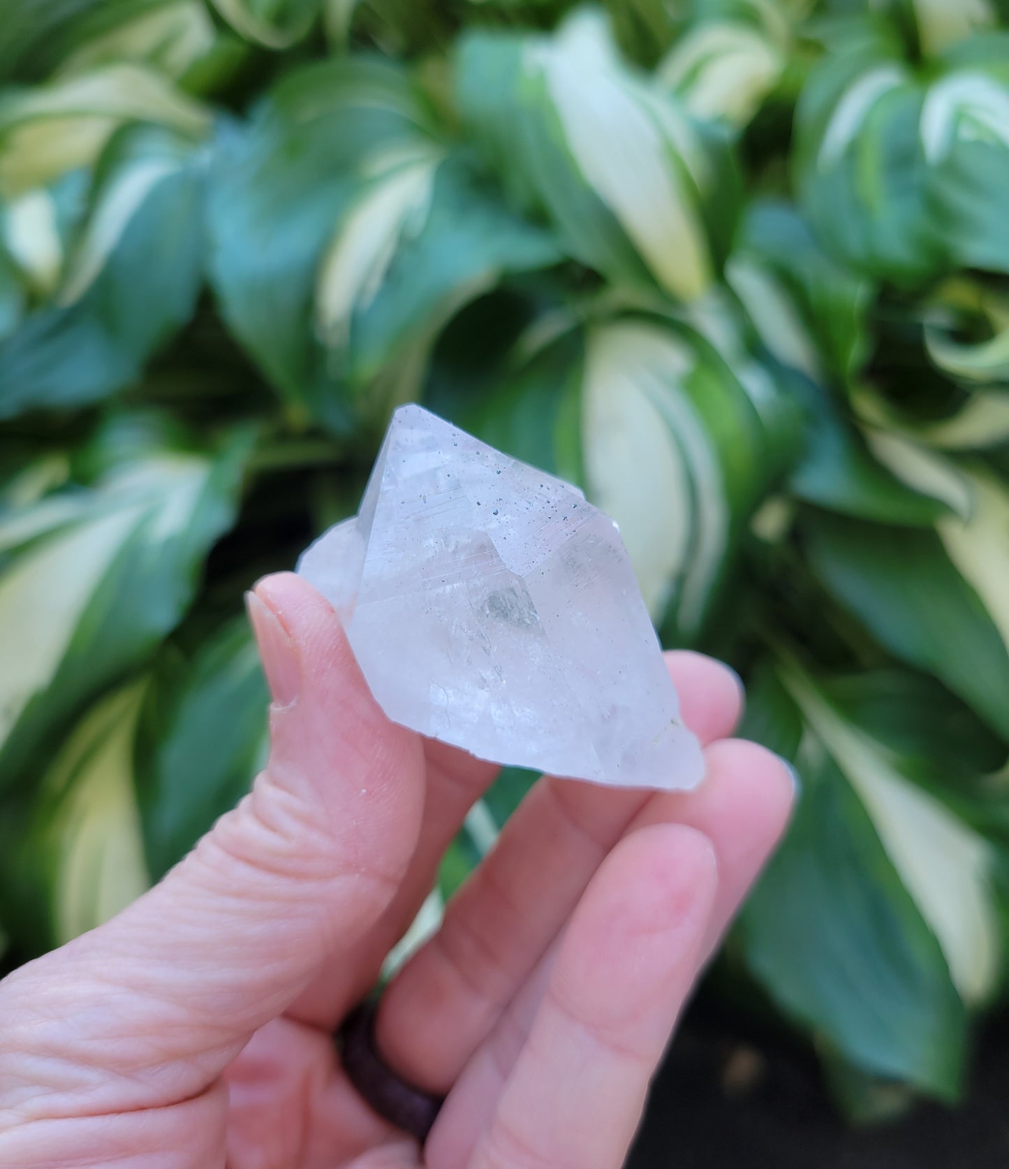 Himalayan Quartz with Anatase from Himachal Pradesh, India